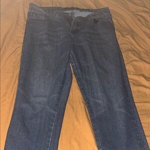 Broken Zipper, Women’s Medium Rise Skinny Blue Jeans size 8P As Is